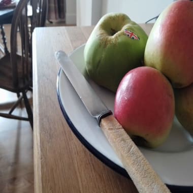 Apples on an enamel plate with an old fashioned bone handle knife